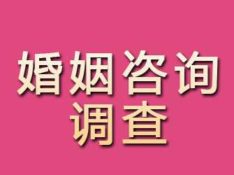 庆安婚姻咨询调查